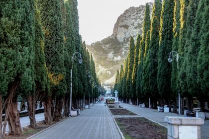 020年1月1日元旦五行缺木猪宝宝取名精选，缺木起名用什么字？"