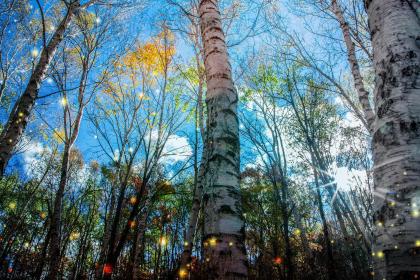 020年农历三月二十四日出生的男孩五行属什么，五行取什么名？"