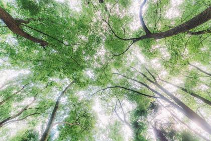 019年9月3号巳时出生的男孩如何起取个好运的名字，五行属什么"