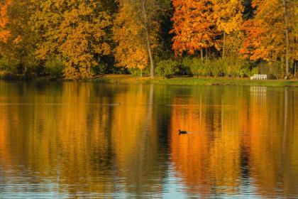 019年9月26号午时出生的男孩如何起取个大方的名字和五行属性"