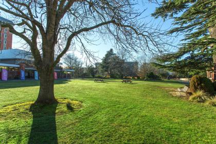 019年7月5号酉时出生的女孩起什么名字好，五行是什么？"