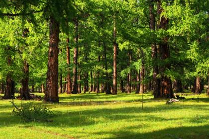 019年六月二十七出生的双胞胎男孩如何起名字好,五行属什么？"