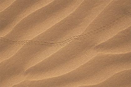 019年11月18号卯时出生的男孩怎么起名字，五行属什么"