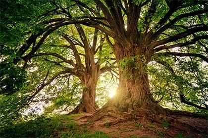 022年腊八节出生的男孩五行缺水响亮霸气的名字精选"