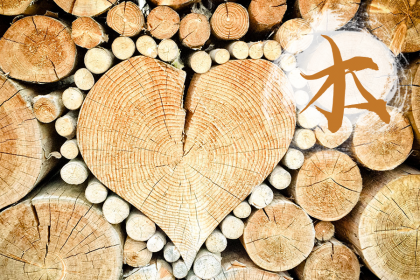 020年正月二十五出生的鼠宝宝名字，五行缺什么？"