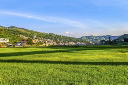 019年八月初三出生的男孩如何起名字，五行属什么"