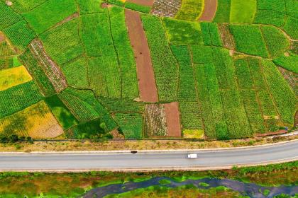 土命名字中能带土吗，土命带土起名用什么字好？