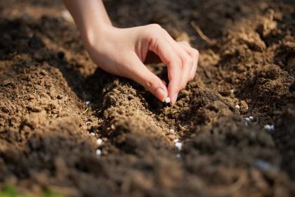 022年2月21日出生缺金和土的女孩名字有哪些？"
