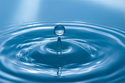 019猪年大雪生的女孩五行缺土要怎么起名字"