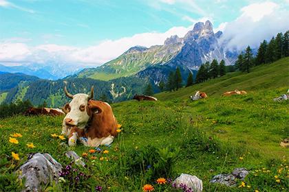 为晚上10点出生的属牛男孩取名字宜用什么字