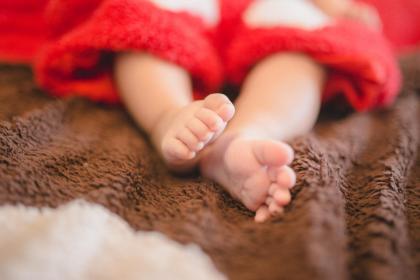 木命猪宝宝起名字带什么字好？木命起名宜用字是什么？