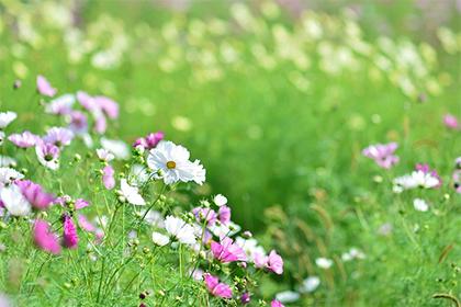 022年腊八节出生的男孩五行缺水响亮霸气的名字精选"