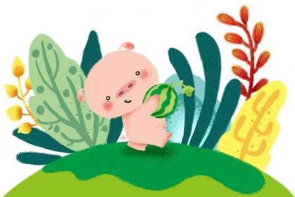 019年4个字的生肖猪宝宝起名精选"