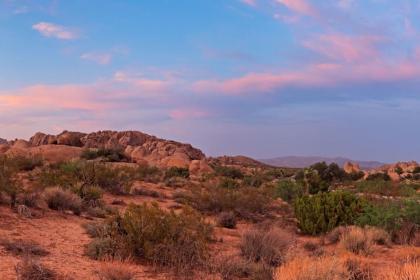 重阳节晚上出生的女孩起什么名字合适