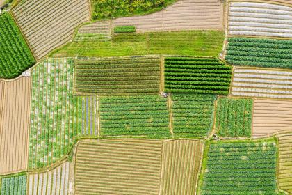 四月出生宝宝五行属什么？如何取名？