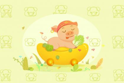 019年猪年出生仲孙姓女孩怎么样起名字，仲孙姓女孩好名推荐"