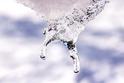 019年腊月二十九出生的男孩五行缺金起名大全"