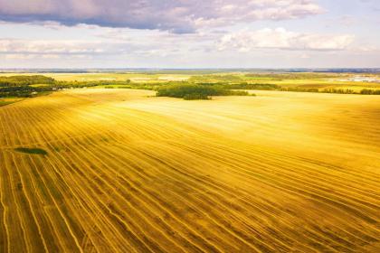 019年夏至出生的宝宝五行缺什么，怎么起名？"