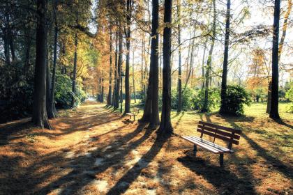 五行缺水喜木男孩如何取名？八字喜木是什么意思？