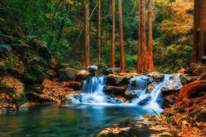 019年9月28号巳时出生的男孩如何起取个有涵养的名字，五行属什么"