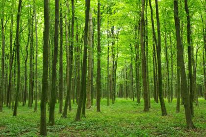 019年6月12号出生的双胞胎女孩如何起名好，五行属什么？"