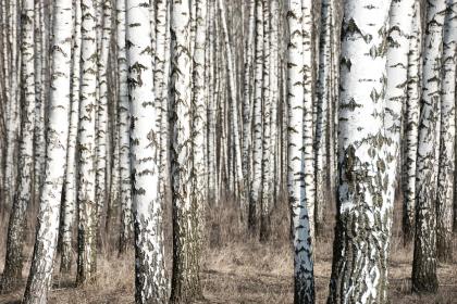 019年11月7号出生的双胞胎男孩如何起名，五行属什么"