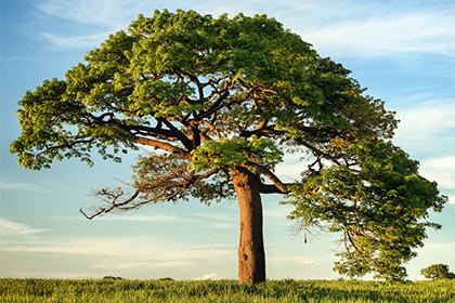 019年9月28号子时出生的男孩动听的名字推荐及五行"