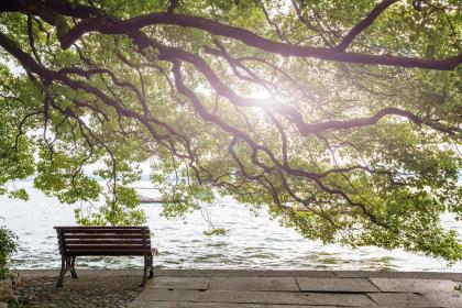 018属狗宝宝五行取名大全"