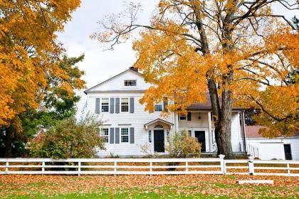 019年7月8号辛时出生的女孩怎么起名比较好，五行是什么？"