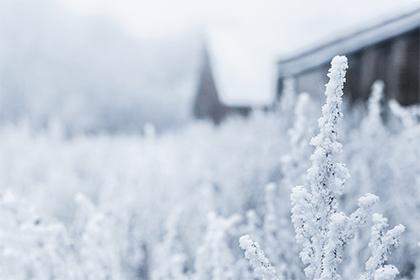 019年9月6号酉时出生的男孩如何起名，五行属什么"