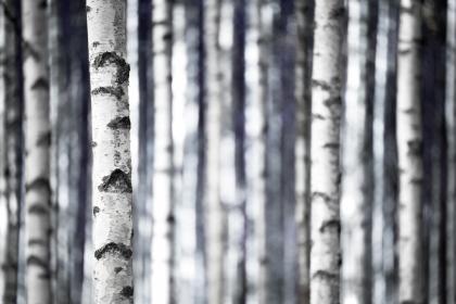 019年12月5号出生的双胞胎男孩起什么名字比较好，五行属什么"