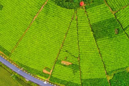 019年3月28号出生的双胞胎男孩起什么名字比较好，五行属什么"