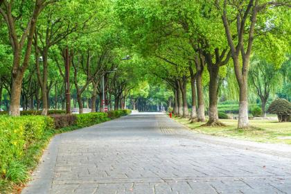 怎么给2019年7月3号巳时出生的女孩起名，五行是什么？