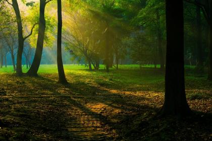 019年11月12号出生的男宝宝五行缺金要怎么取名字"