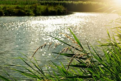 019年立秋出生的女孩五行取名，吉利满分的名字推荐"