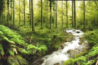 019年3月15号出生的男宝宝五行缺金要怎么起名字"