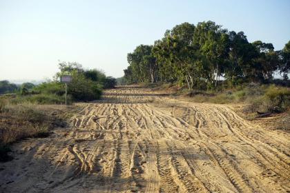 019年夏至出生的宝宝五行缺什么，怎么起名？"