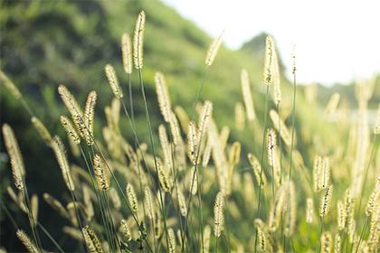 019年6月1号出生的女宝宝五行缺金要怎么起名字"