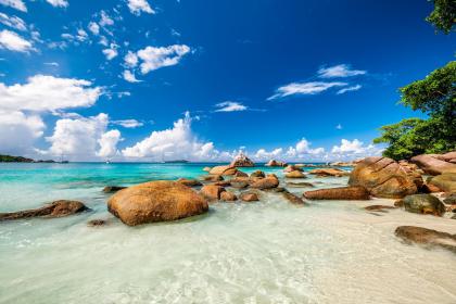 019年农历二月十九出生的双胞胎男孩怎么样起名字，五行属什么"