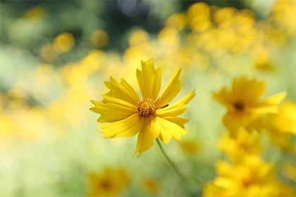 018年处暑出生女孩五行缺水起名字？五行缺水怎么补救？"
