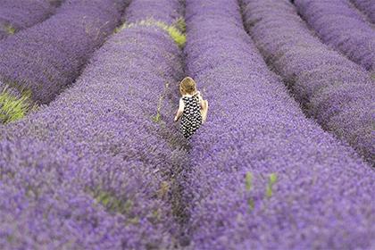 018狗宝宝四字起名大全"