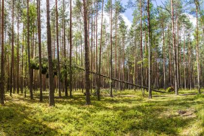019年十月十二出生的双胞胎女孩起名的注意事项，五行属什么"