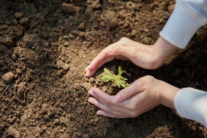 019年7月29号巳时出生男孩五行属什么"