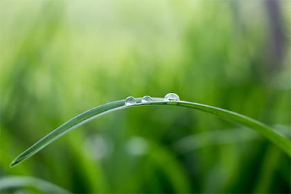 019年2月10日出生的女宝宝起名大全,五行有缺吗？"
