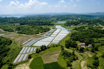 019年7月8号卯时出生的女孩该如何起名，五行是什么？"