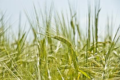 019年7月8号辛时出生的女孩怎么起名比较好，五行是什么？"