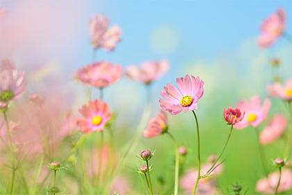 019年八月十七出生的双胞胎女孩起名注意事项，五行属什么"