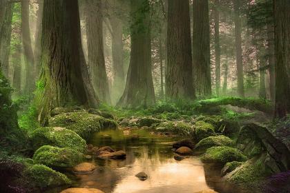 019年腊月二十九出生的男孩五行缺金起名大全"