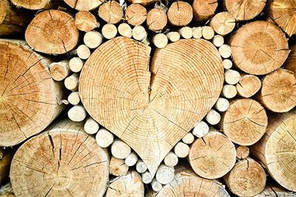 怎么给2019年7月12号辛时出生的女孩起名，五行是什么？