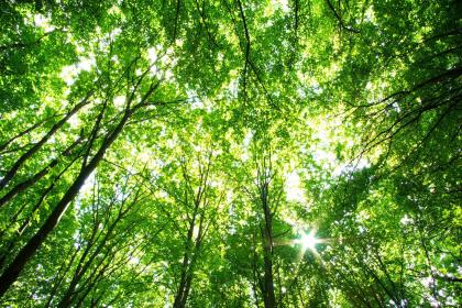 019年6月17号出生的女宝宝五行缺土要怎么起名字"